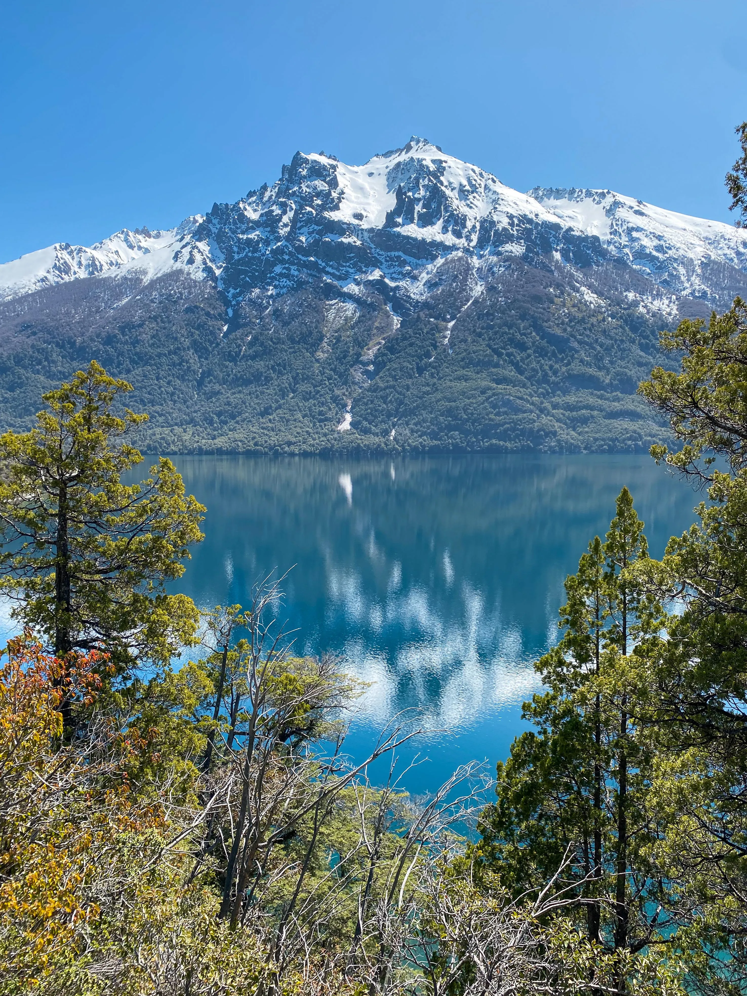 Galería imagen 5